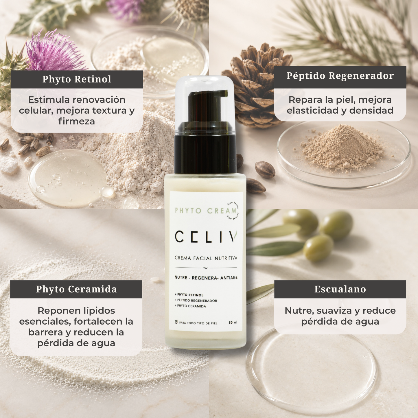 RUTINA NOCTURNA + Envío Gratis
